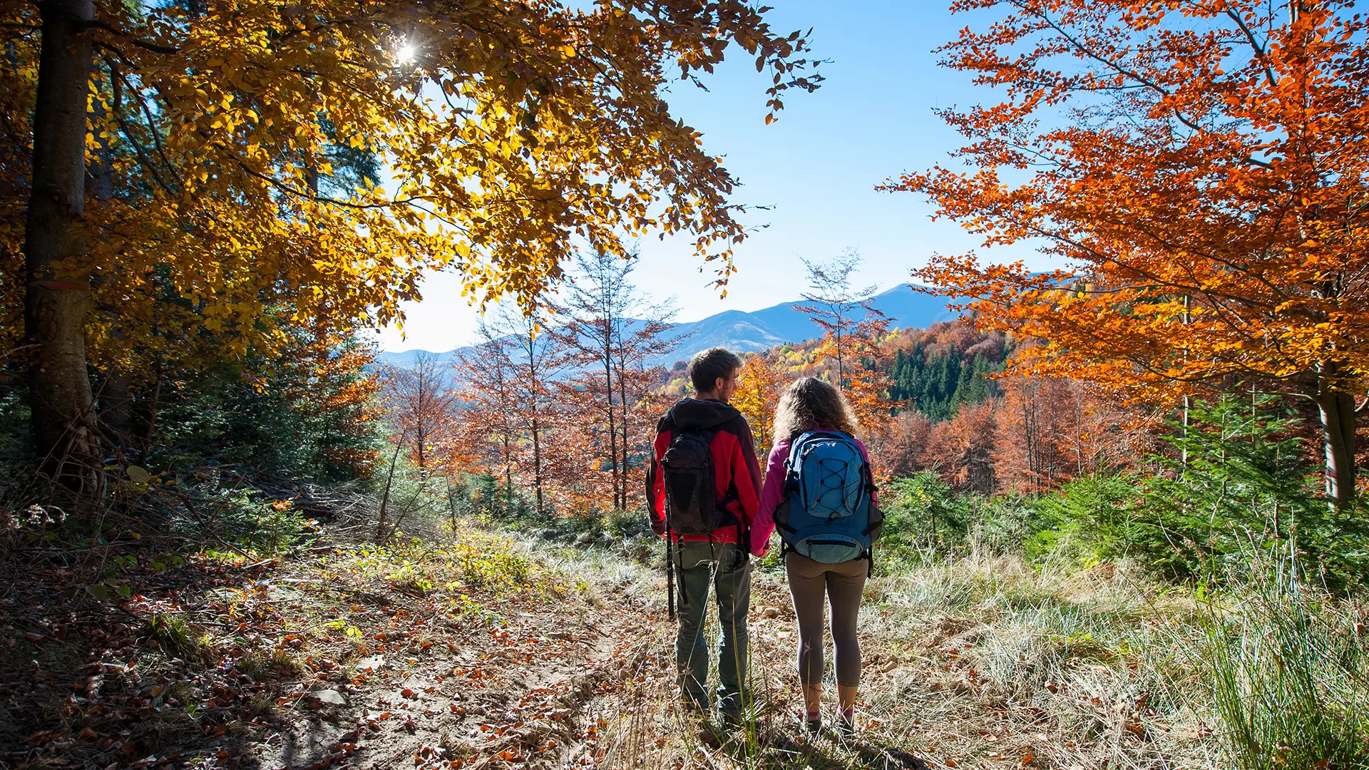motivos para visitar el Montseny este mes